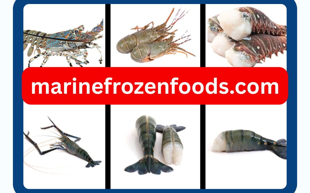 Wholesale Frozen Tilapia2