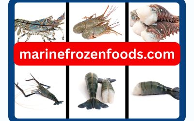 Wholesale Frozen Tilapia for Global Food Supply: Product Selection and Sourcing Guide