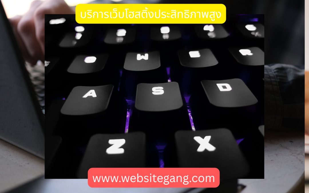 บริการเว็บโฮสติ้งประสิทธิภาพสูง