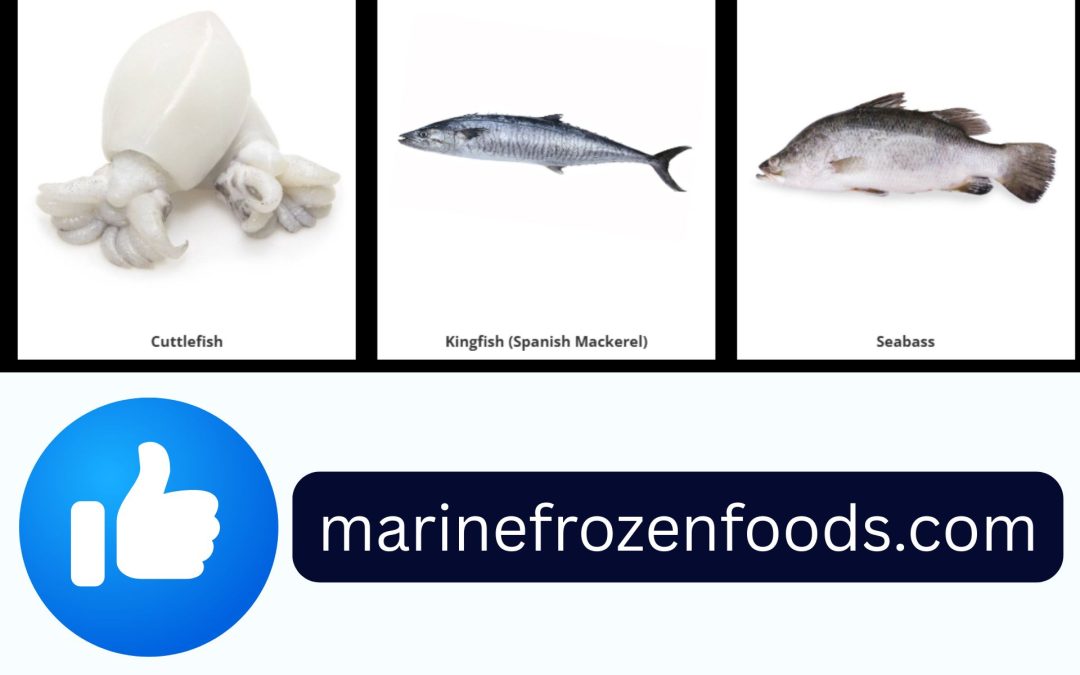 Wholesale Frozen Tilapia11545